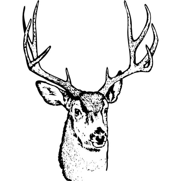 DEER016 Thumbnail