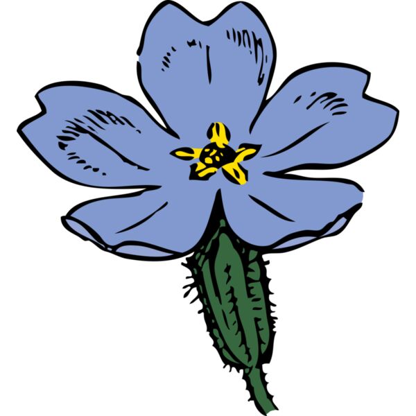 johnny automatic primrose Thumbnail