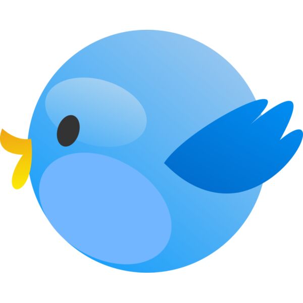 tweet birs 2 Thumbnail