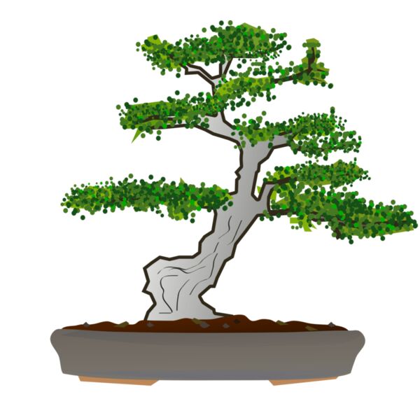 bonsai Thumbnail
