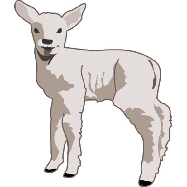 molumen young lamb 1 Thumbnail