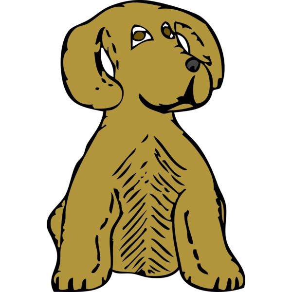 johnny automatic dog front view Thumbnail