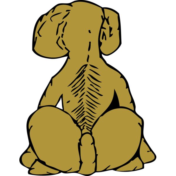 johnny automatic dog rear view Thumbnail