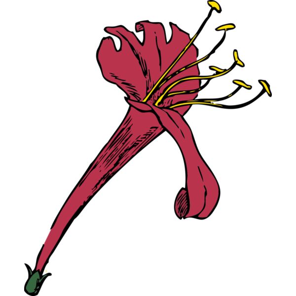 johnny automatic honeysuckle Thumbnail