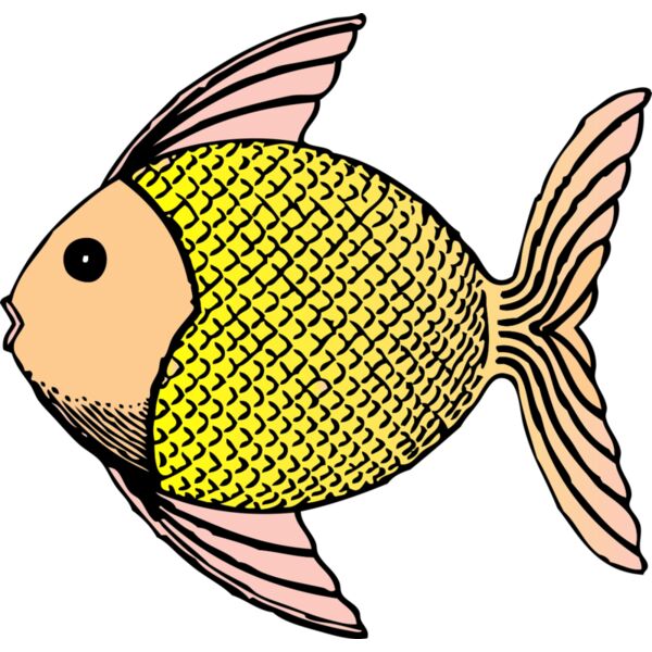 johnny automatic tropical fish Thumbnail