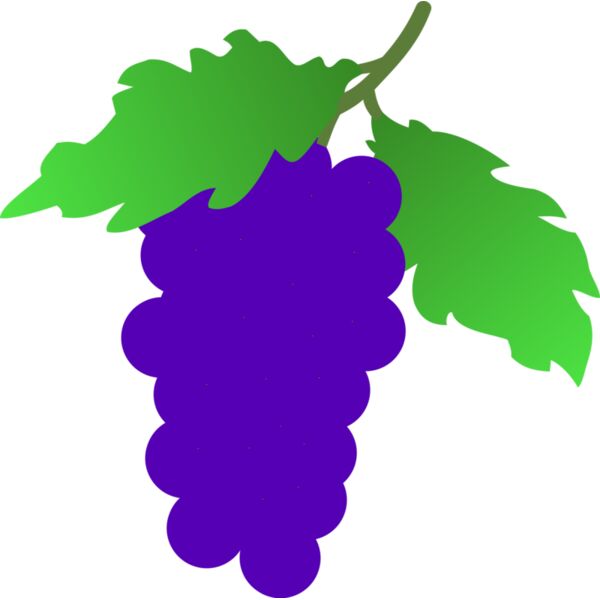 stuuf grapes Thumbnail