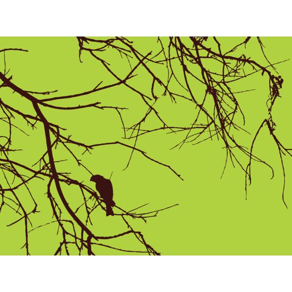 037 branch bird 204830397  2  Thumbnail