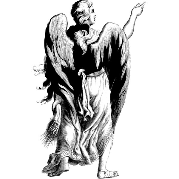 20b5f62d  2  Thumbnail