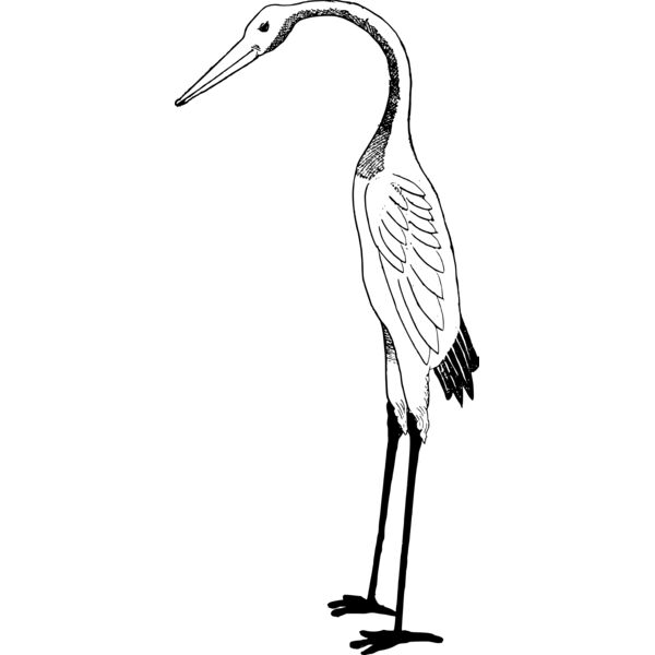 stork Thumbnail