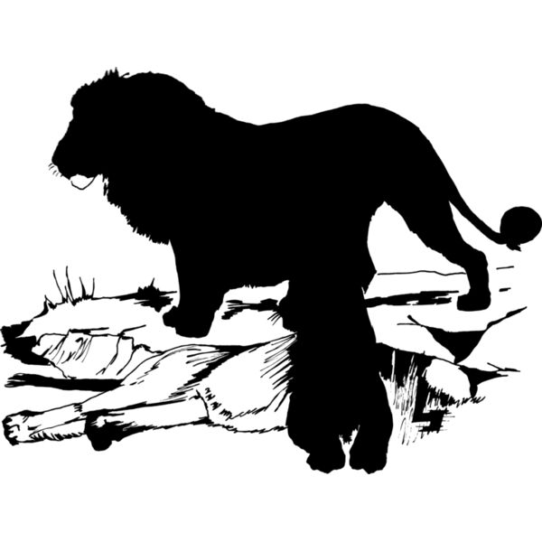 1298112570  2  Thumbnail