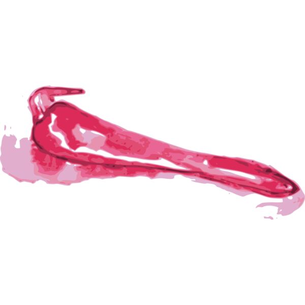 jiangyi 99 red pepper 02 Thumbnail