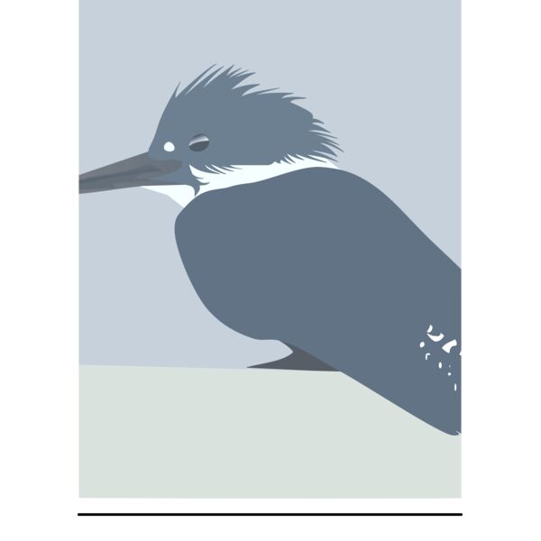 Martin Pescador Thumbnail