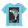 Toddler 5.5 oz. Jersey Short-Sleeve T-Shirt Thumbnail