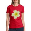 Ultra Cotton® Ladies' 6 oz. T-Shirt Thumbnail